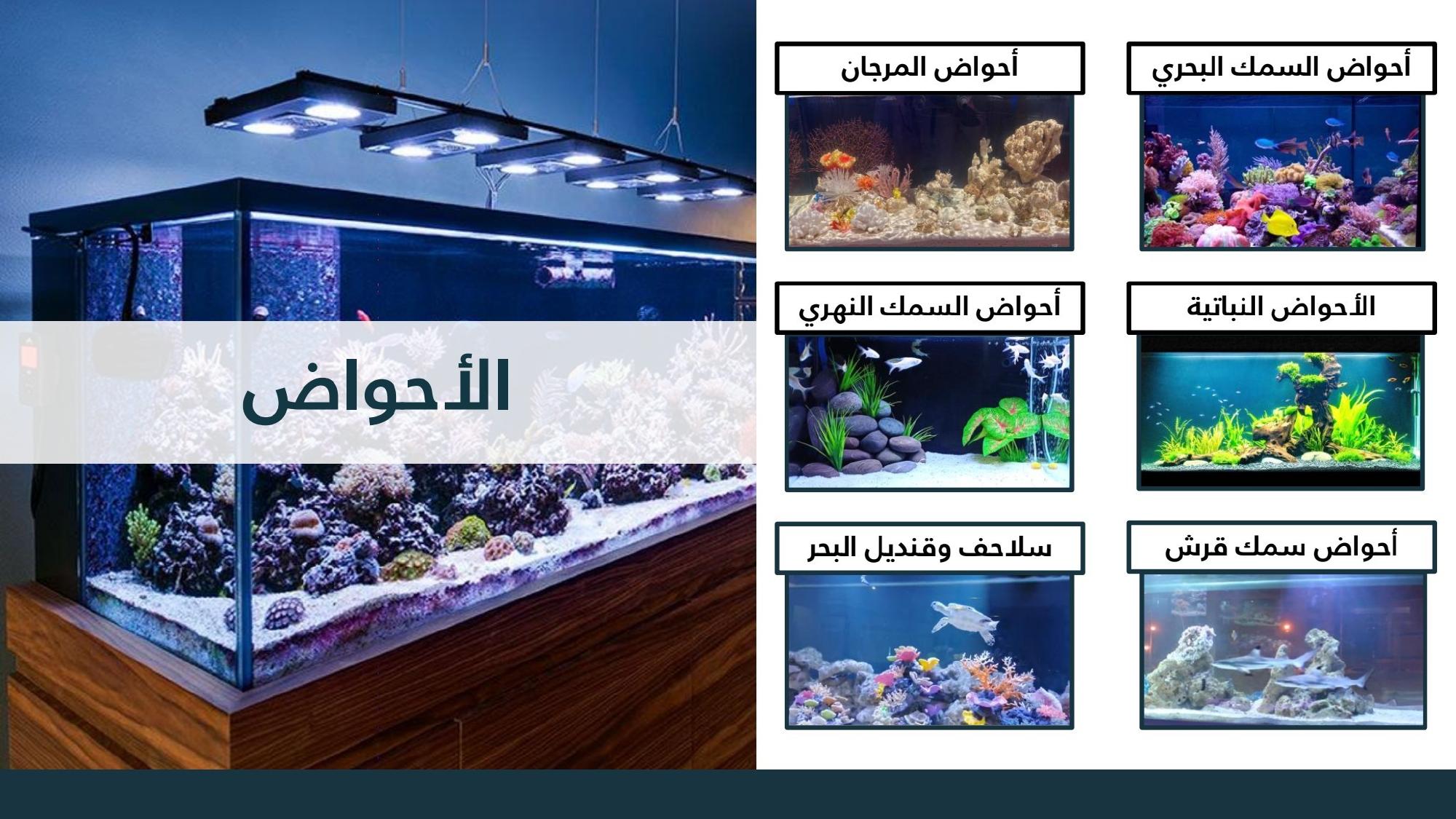 Coral Aquariums