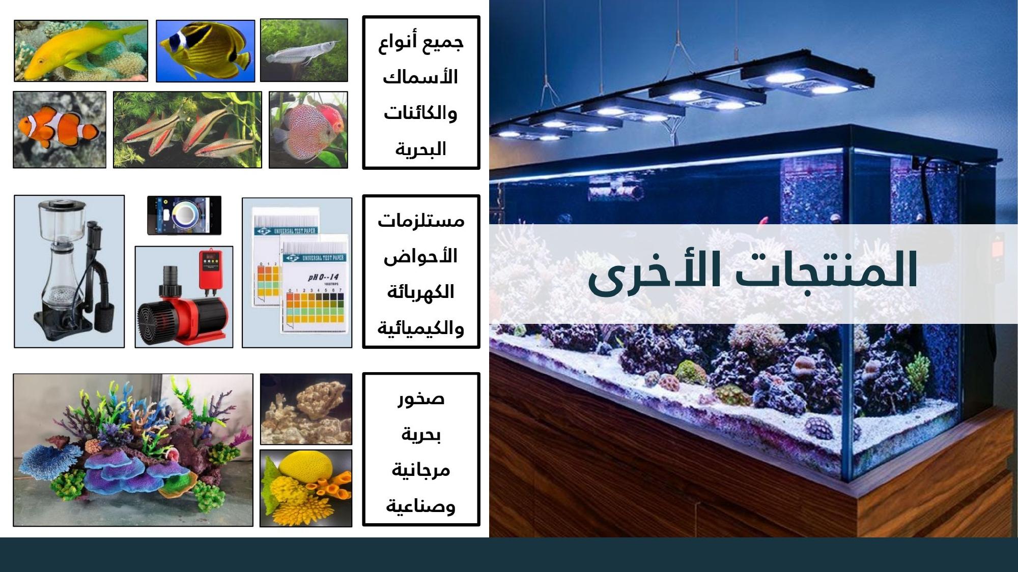 Maintenance Services